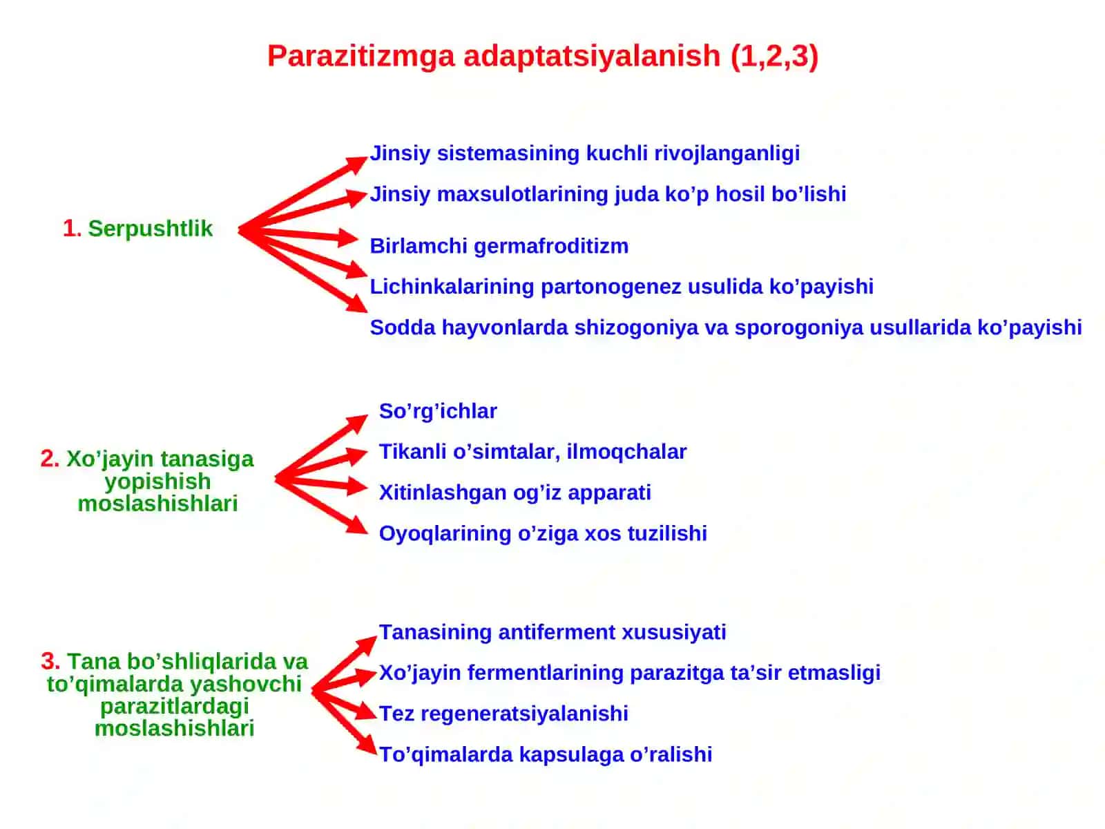 Tibbiy parazitologiya. Tibbiy protozoologiya 4