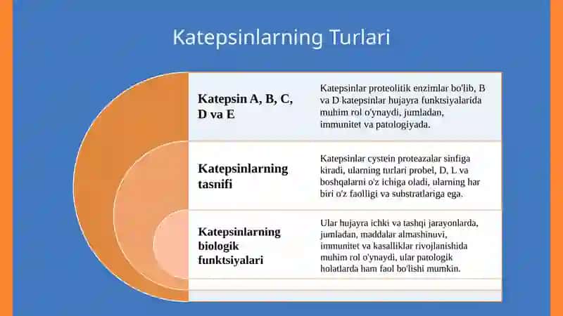 Katepsinlar, ularning klinik ahamiyati. 4