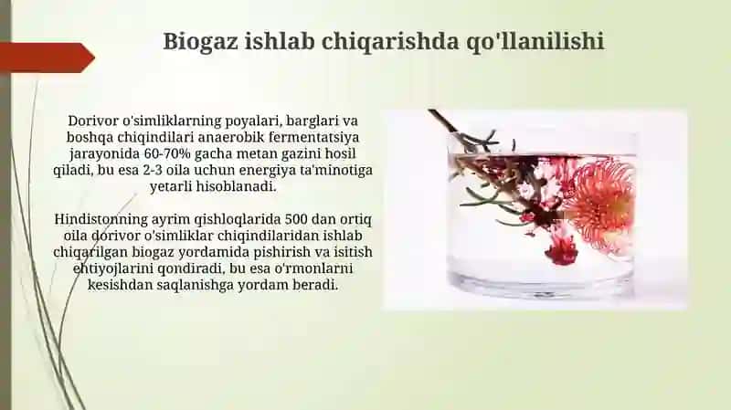 O'simlik chiqindilaridan olingan efir moylari 4