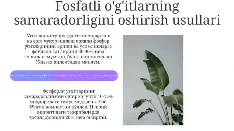 Oddiy superfosfat 4
