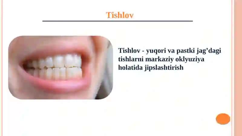 Tishlov 4