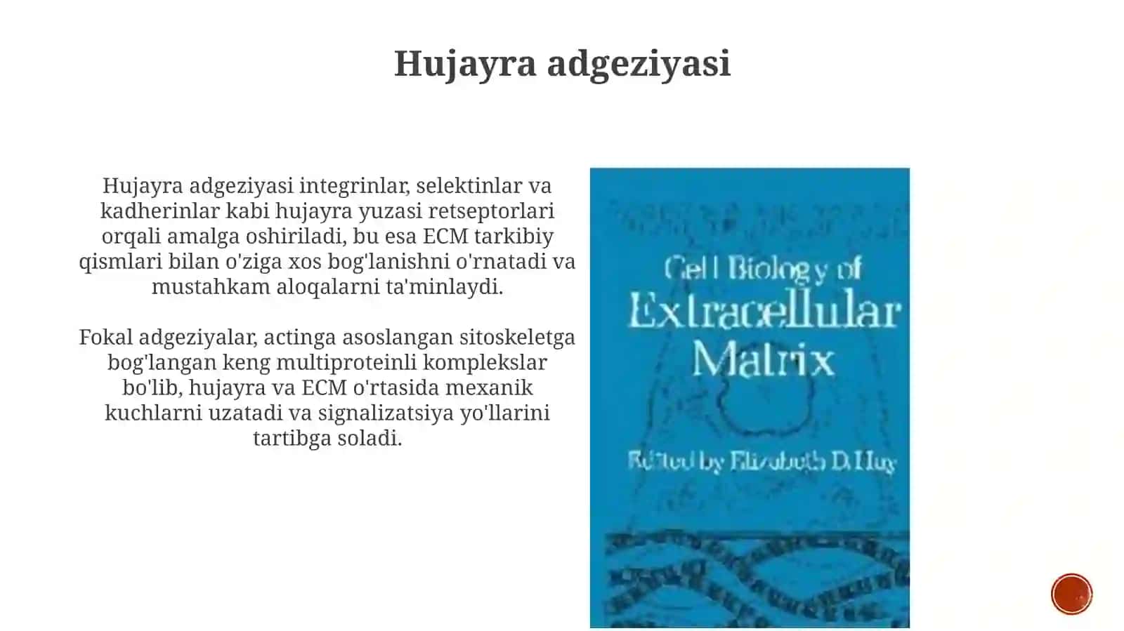Hujayra va hujayradan tashqari matriks orasidagi munosabatlar 4