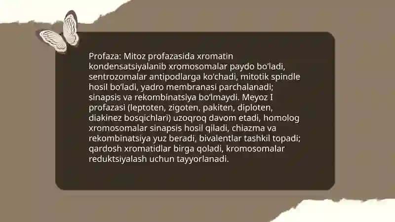 Mitoz va Meyoz jarayonlari fazalarini farqi va oʻxshashliklari 4