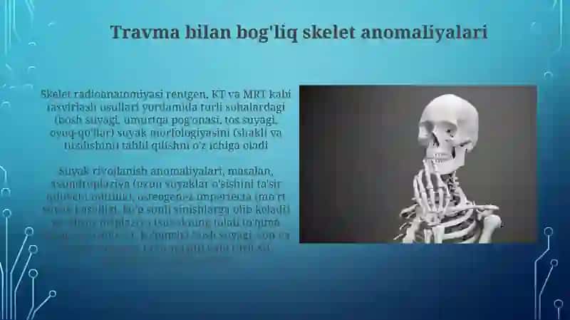 Skelet suyaklarining rentgenanatomiyasi 4