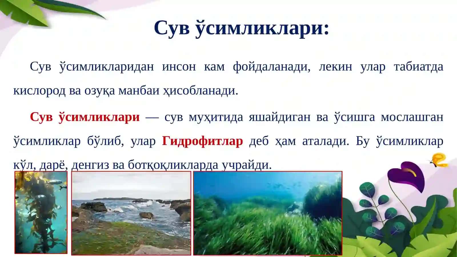 Биологик ресурслардан фойдаланиш 4