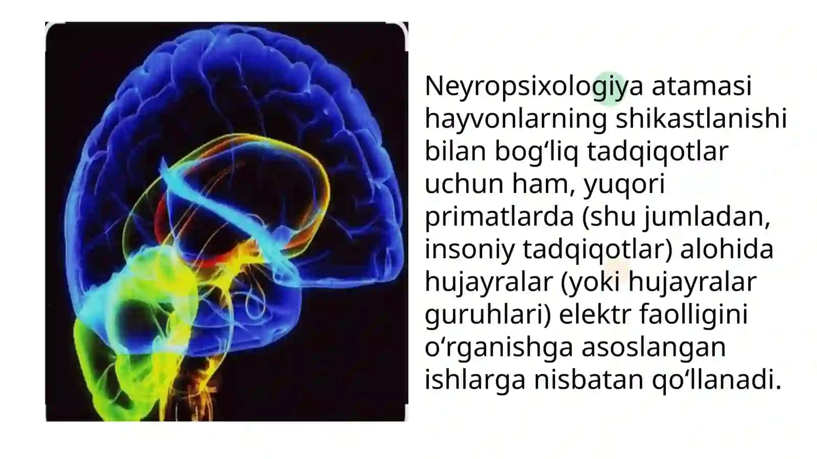 Neyropsixologiyaning rivojlanishida Luriya xizmatlari 4