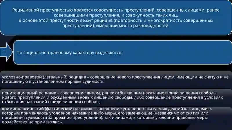профессиональнаяи рецидивная преступность и их предупреждение 4
