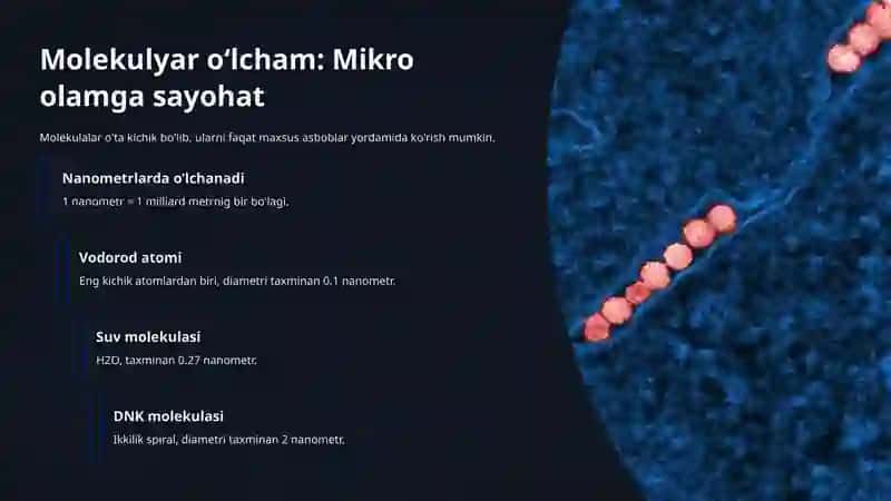 Molekulaning oʻlchami va massasi: Koinotning kichik qahramonlari 4