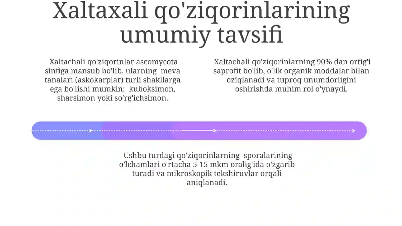 Xaltachali Zambarag'lar Ekologiyasini O'rganish 4