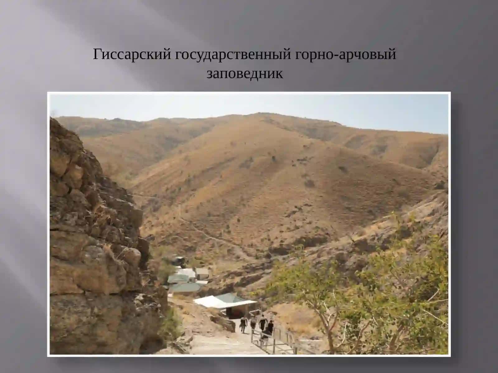 Заповедники и национальные парки Узбекистана 4