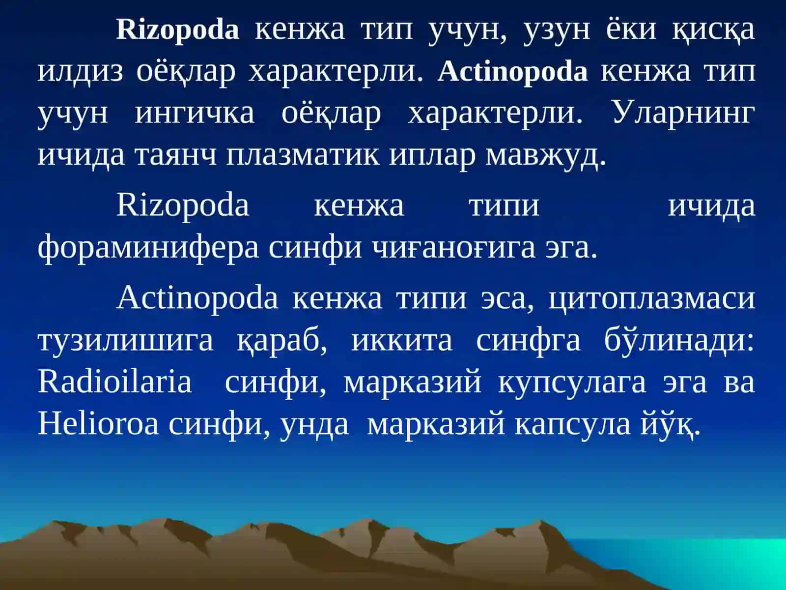 Саркодалилар Типи 4