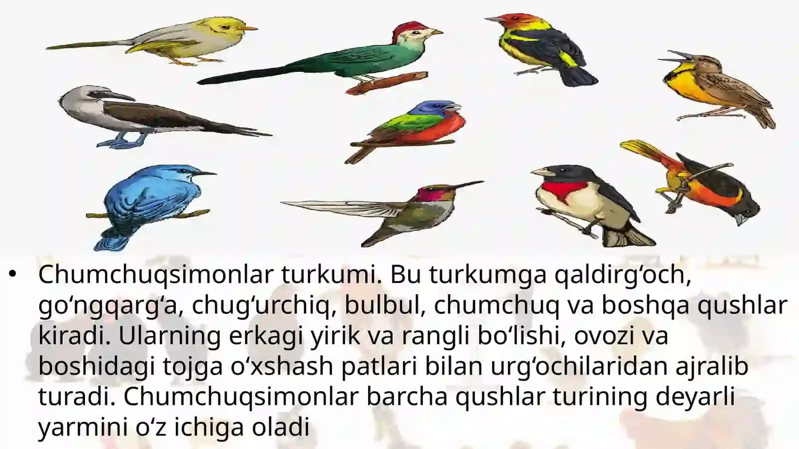 7-sinf Zoologiya 'Qushlarning xilma-xilligi voha va cho'l qushlari' ko'rgazma 4