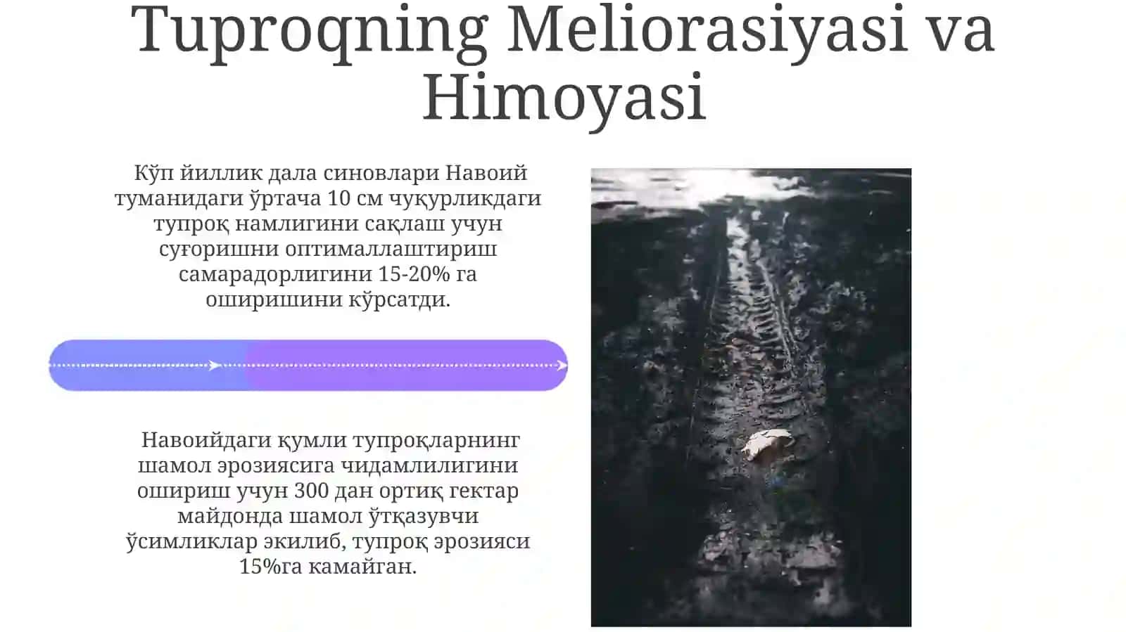 Navoi Tuproqlari: Umumiy Xususiyatlari 4