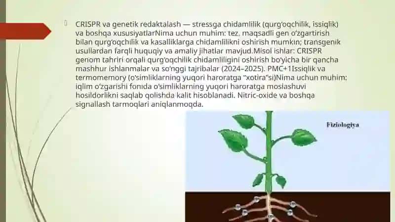 O’simliklar fiziologiyasi yuzasidan chet el ilmiy tadqiqotlar va ular haqida ilmiy maqolalarni tahlil qilish 4