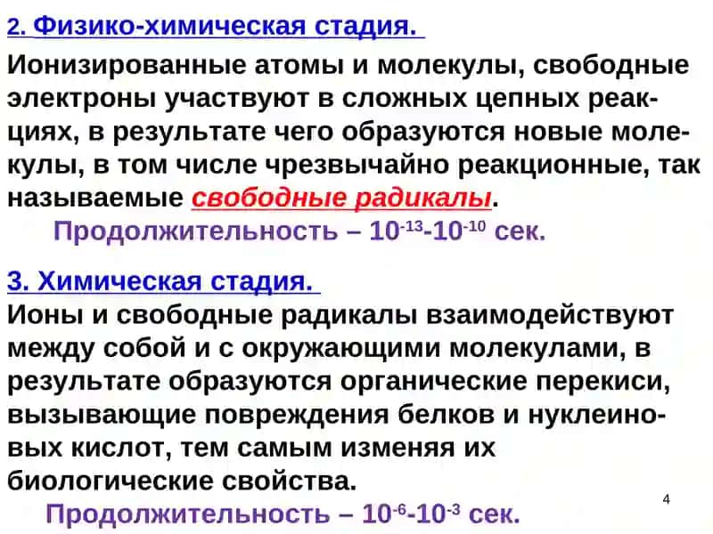 Лекция 8.БИОЛОГИЧЕСКОЕ ДЕЙСТВИЕ ИОНИЗИРУЮЩИХ ИЗЛУЧЕНИЙ 4