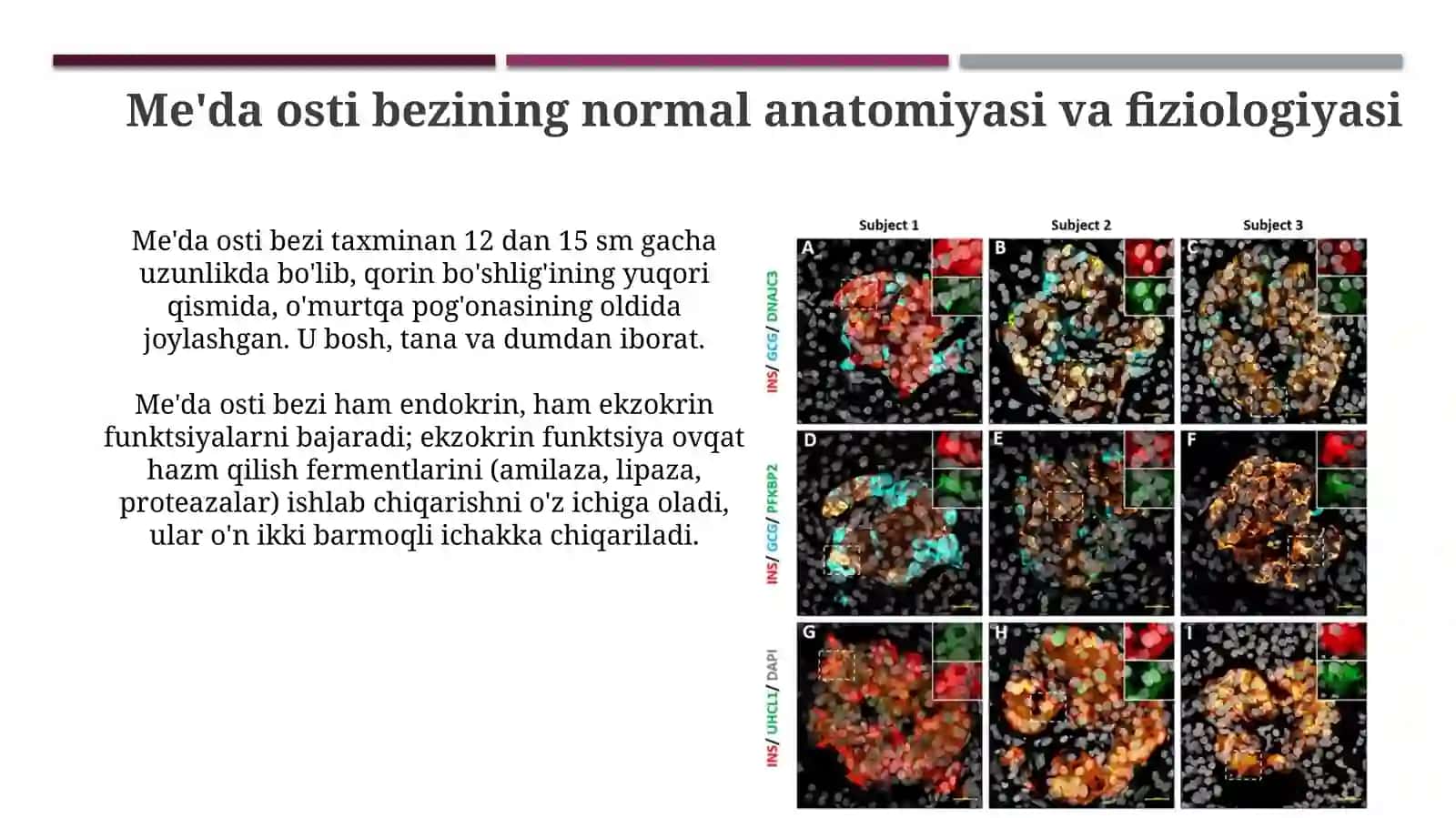 Oshqozon osti bezi etiologiyasi, patogenezi, va tasnifi 4