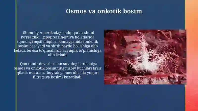 Qon tomirlari devori orqali moddalar almashishining Biofizikaviy mexanizmi 4