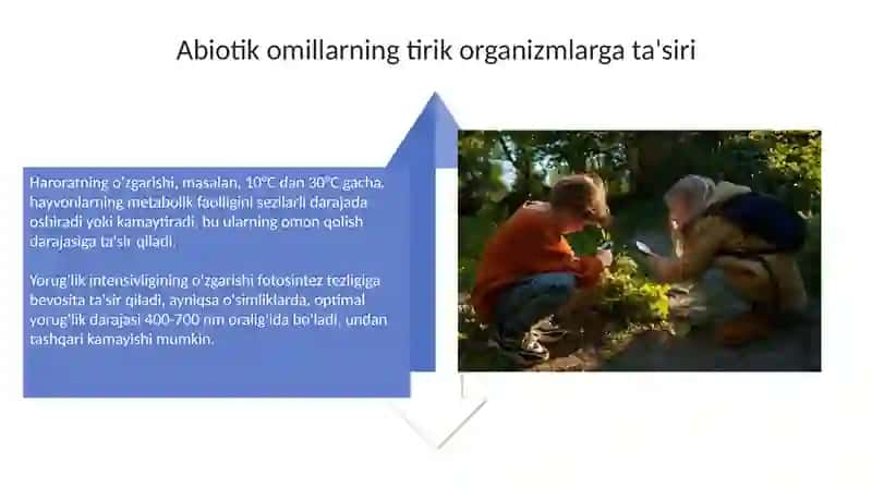 Abiotik omillarning tirik organizmlarga taʼsiri 4