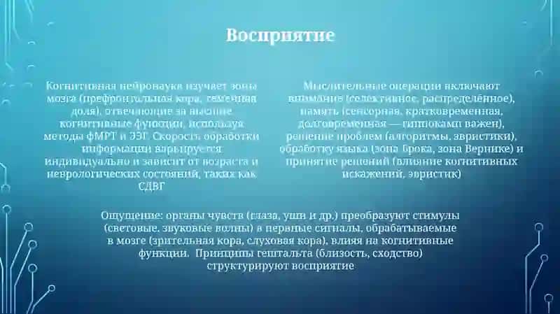 Мысленные операции 4