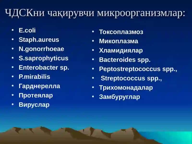 Чилла даври септик касалликлари 4