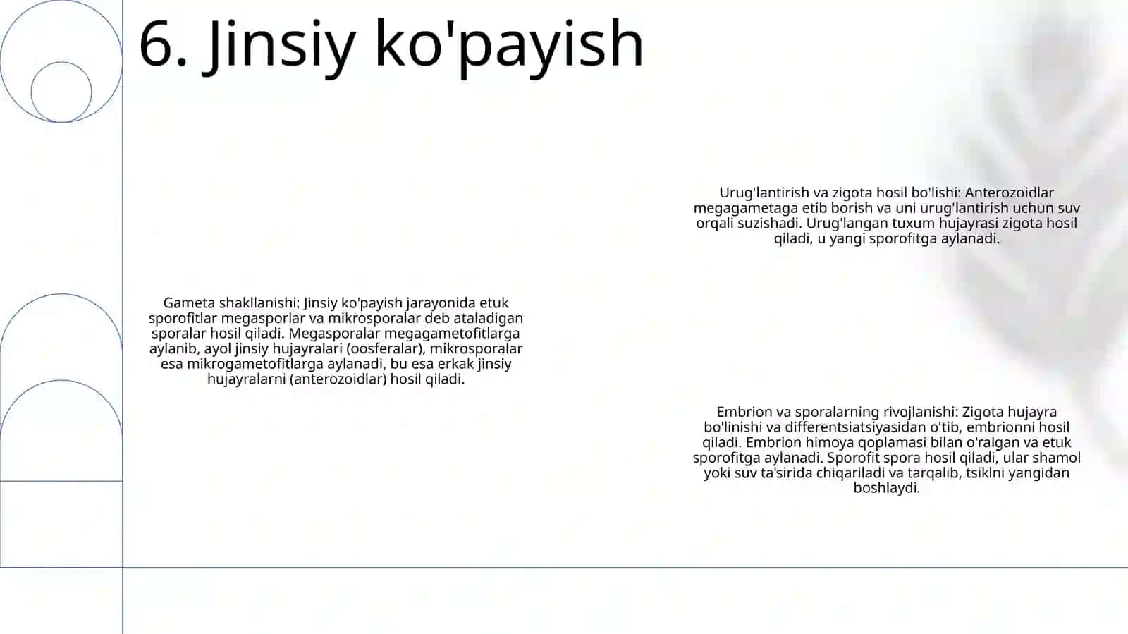 Morfologik xususiyatlari 4