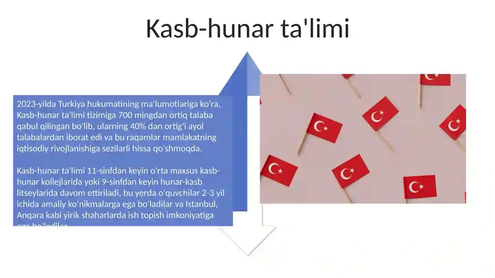 Turkiyaning ta'lim tizimi 4