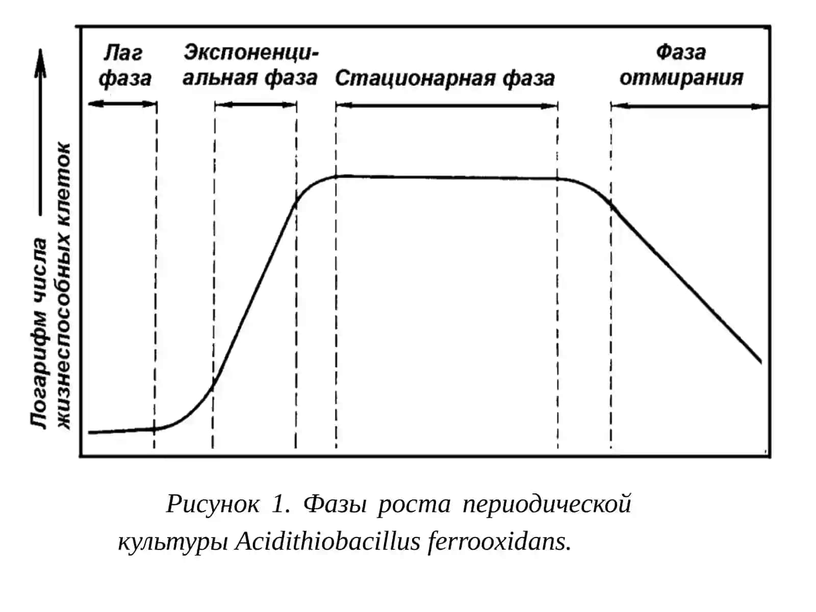 Факторы, влияющие на жизнедеятельность и активность тионовых микроорганизмов 4