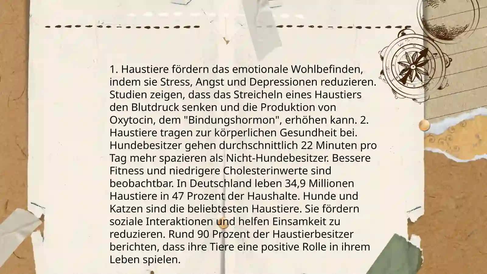 Mein Lieblingshaustier 4
