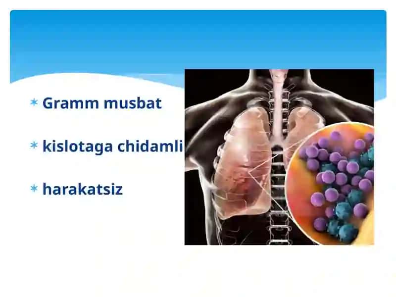 Atipik mikobakteriyalar va ularni amaliyotdagi ahamiyati 4