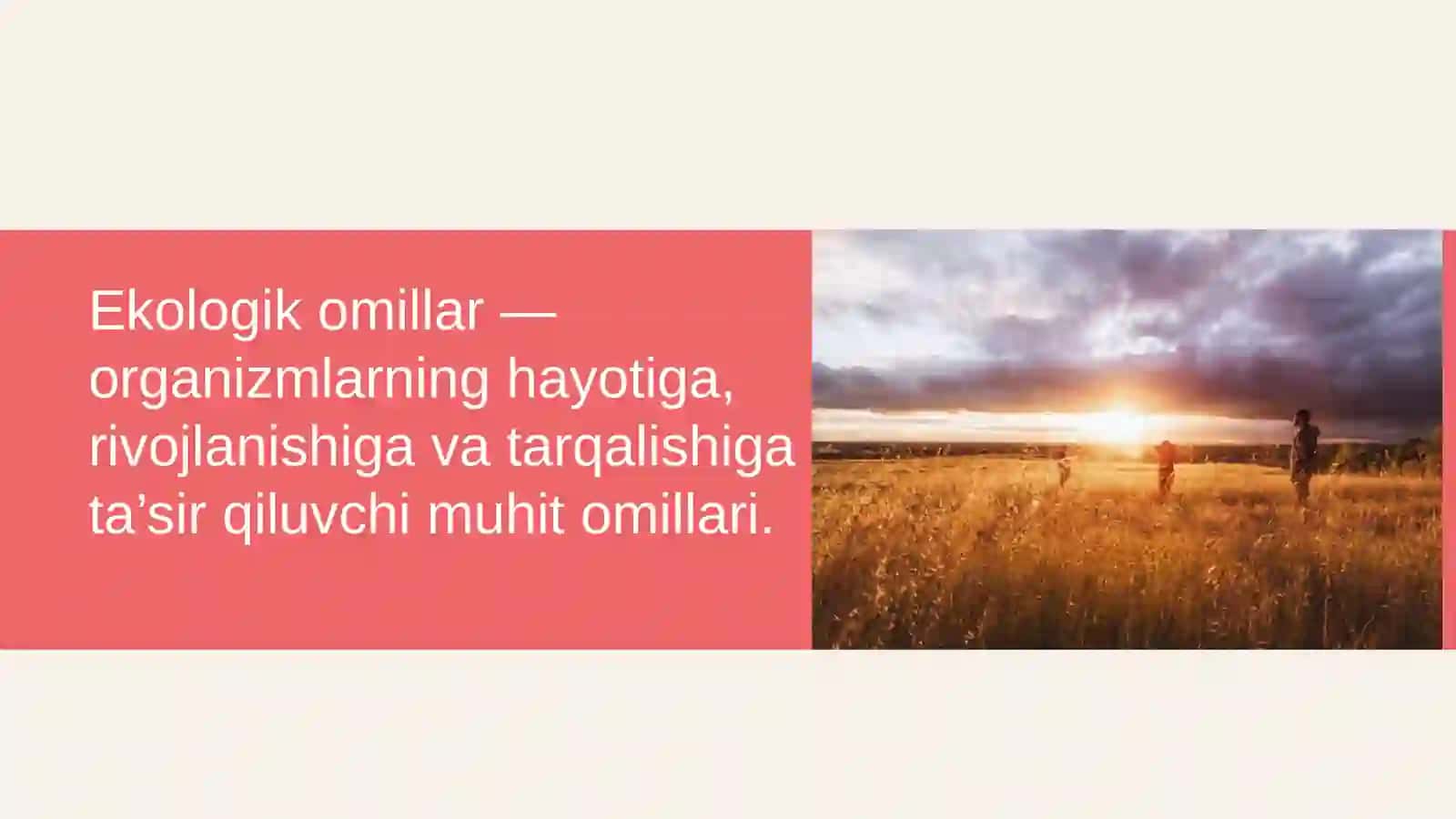 Mavzu: Muhit va ekologik omillar. Muhitga organizmlarning moslashishi 4