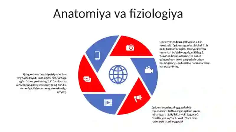 Amaliy KoʻNikmalarni Topshirish: Qalqonsimon Bez Palpatsiyasi 4