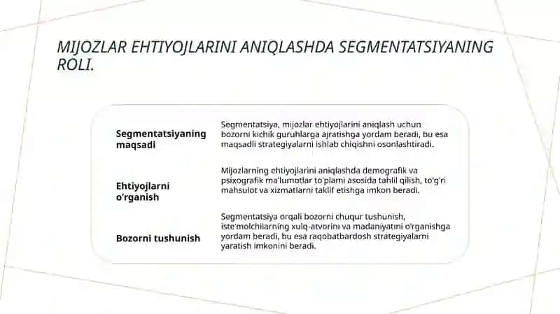 Bozor segmentatsiyasi 4