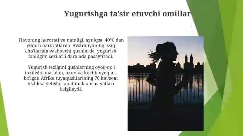 Qushlarning Harakatlanish Xususiyatlari 4