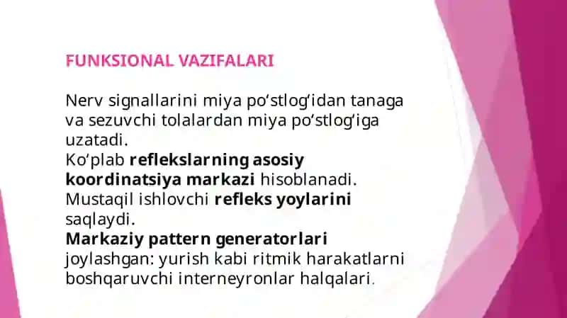Orqa miya o’zaklarining joylashuvi va ularning ahamiyati 4