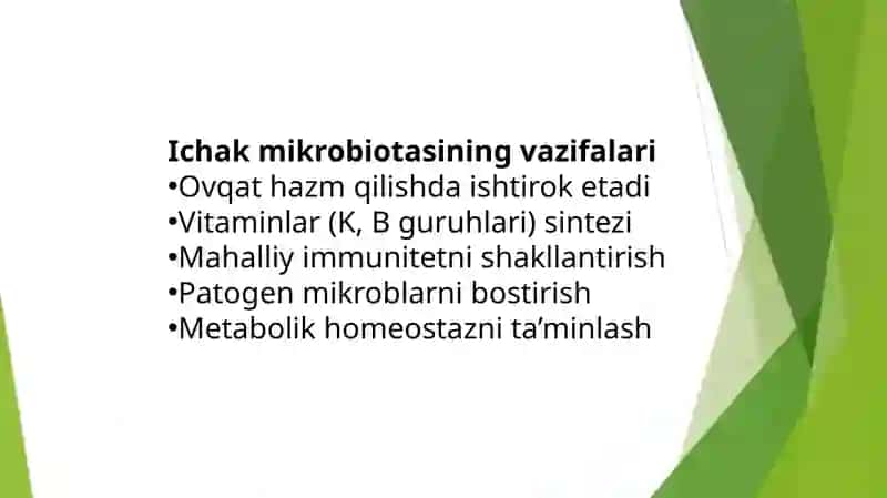 Disbakterioz mikrobiologik holati va zamonaviy diagnostik usullar 4