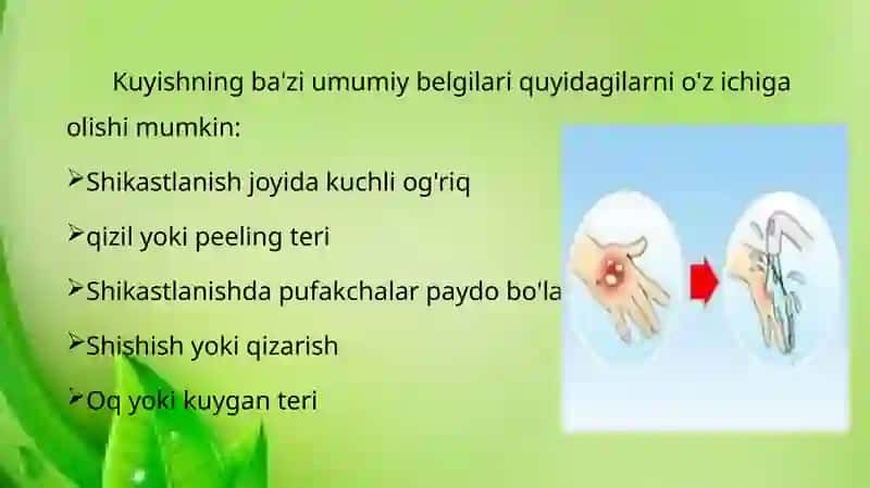 Kuyish kasalligida dorivor o’simliklarni qo’llanilishi 4