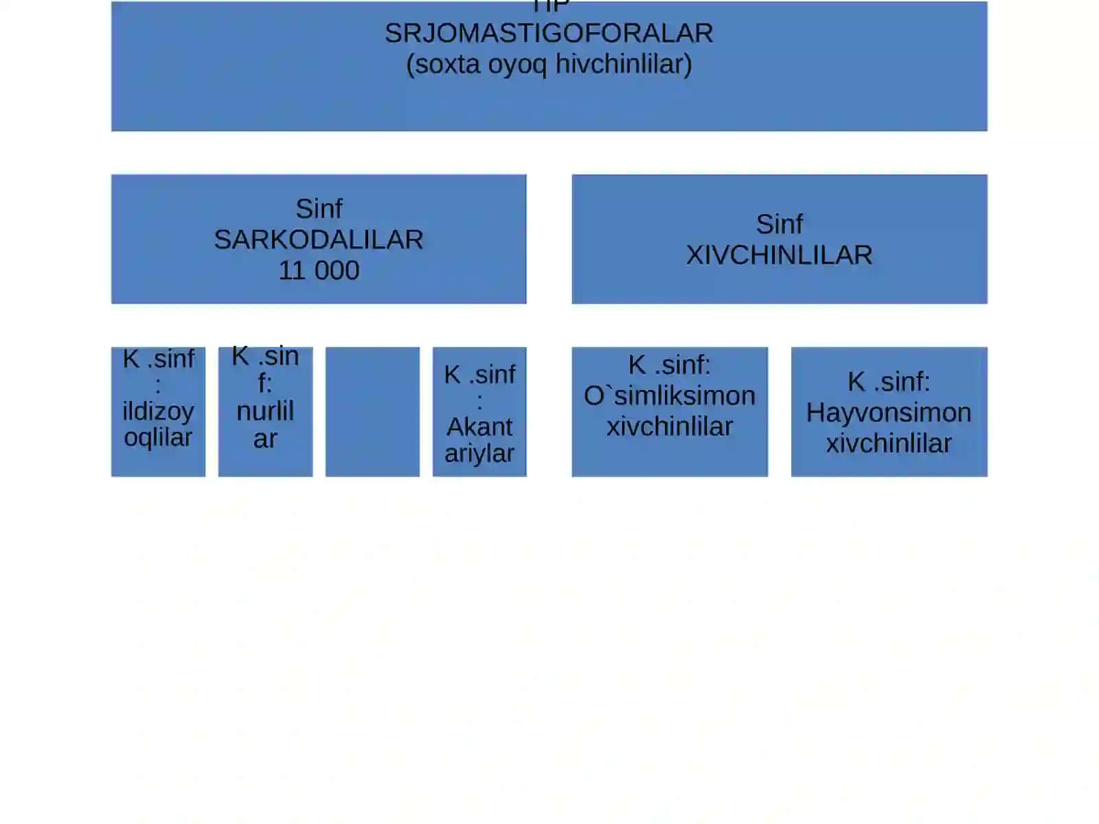 Hayvonsimon xivchinlilar (Zoomastigina) kenjasinfi 4
