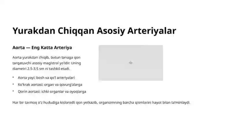 Arterial Tizim Anatomiyasi: Qon Tomirlarining Hayotiy Yoʻli 4