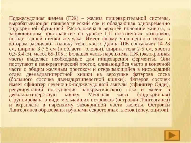 Поджелудочная железа (ПЖ) 4