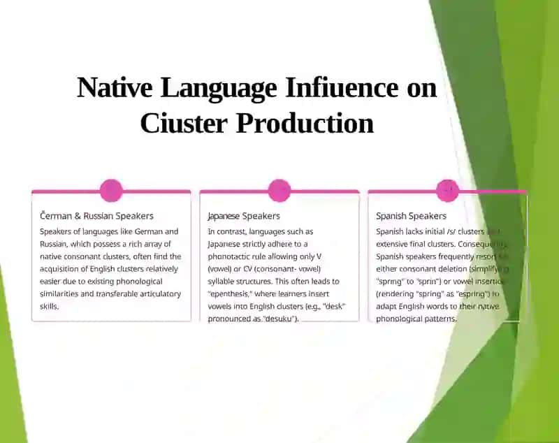 The Typology of Consonant Clusters in English and Native Languages 4