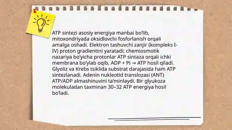 Moddalar va energiya almashinuvini o'rganish 4