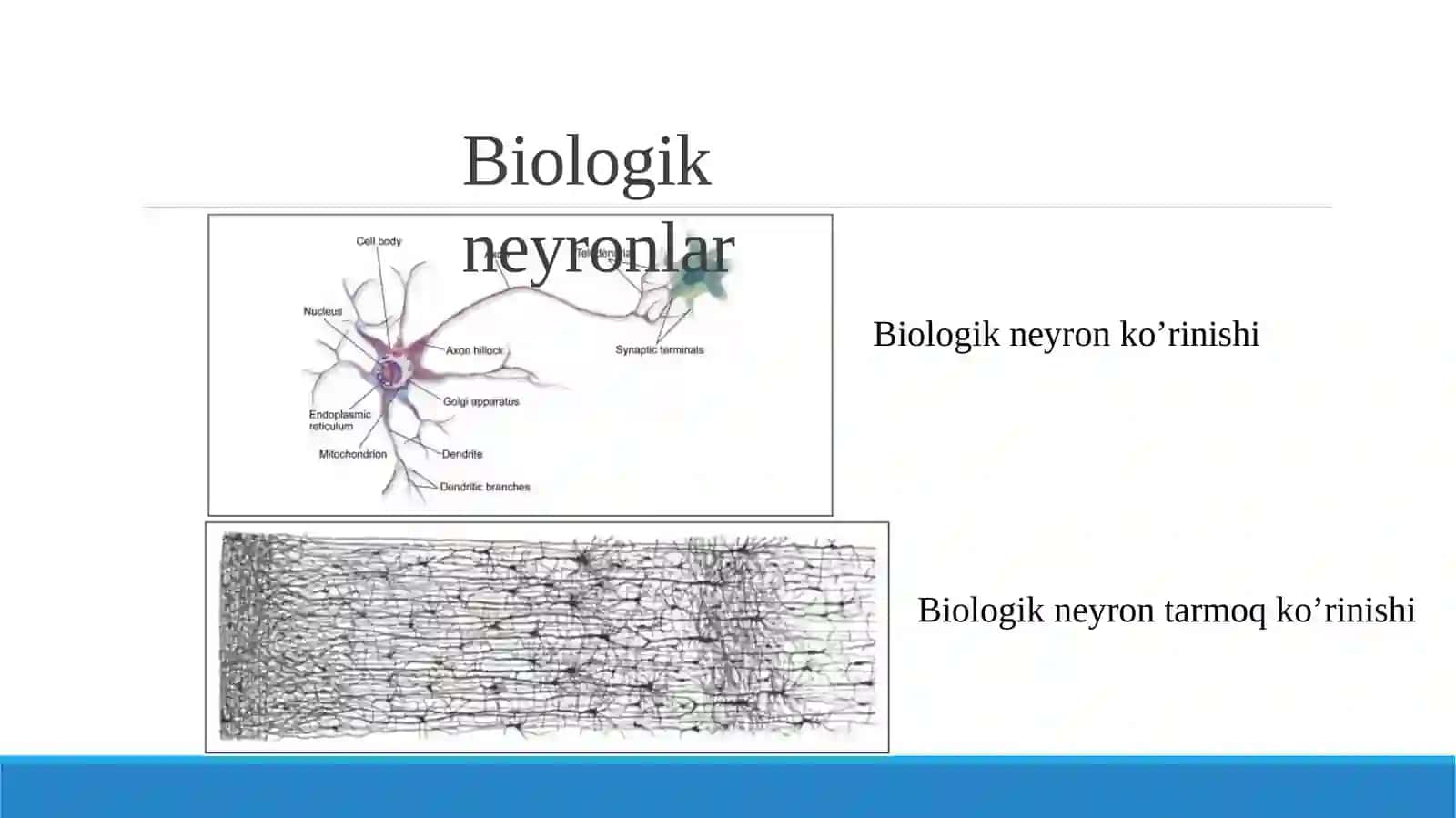 Sun’iy neyron tarmoqlari 4