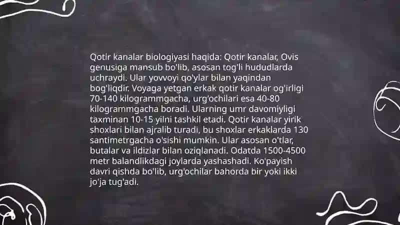 Qotir kana 4