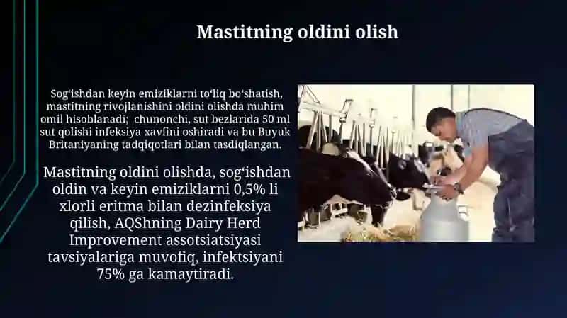 Mashina bilan sut sog'ishning fiziologik xossalari 4