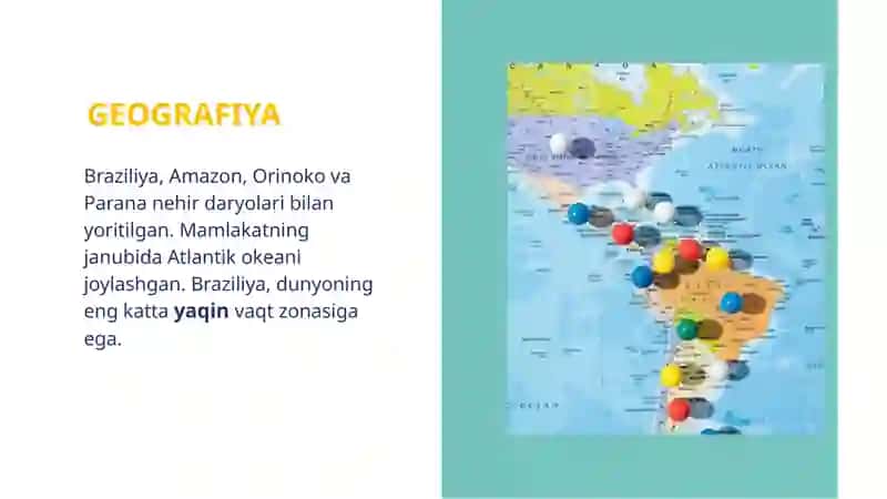 BRAZILIYA DAVLATI: TUNIKADA XALQARO YO'NALISHLAR VA MUSTAQILLIKNING ASOSIY OMILI 4