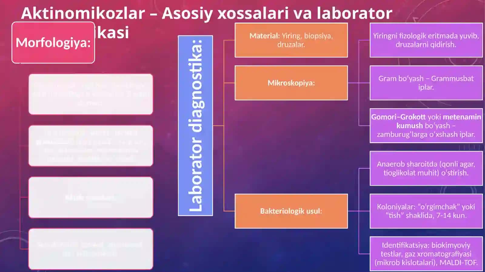 Aktinomikozlar, dermatomikozlar, kandidomikozlar. Kasallikning laborotoriya diagnostikasi. 4
