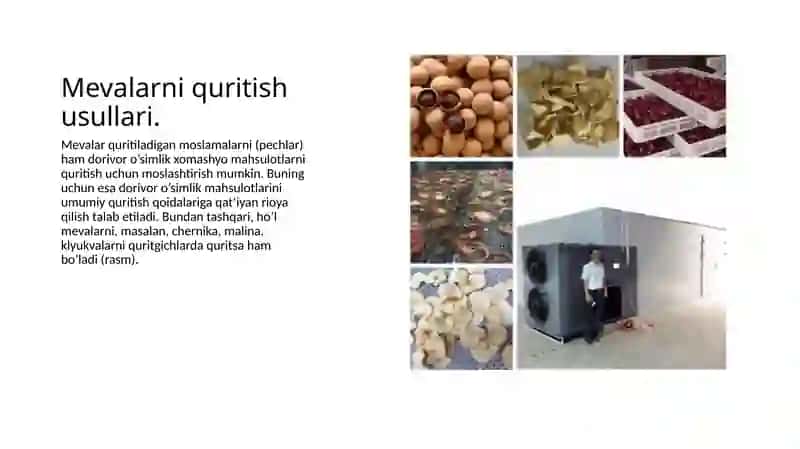 Dorivor o’simlik mahsulotlarini quritish usullari. 4