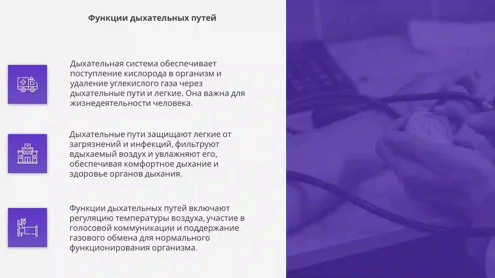 Дыхательная система 4