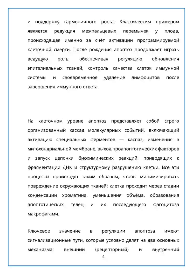 Механизмы апоптоза 4