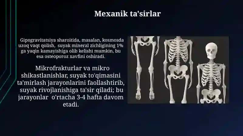 Suyaklarning òsishi va rivojlanishiga tasir otkazuvchi omillar 4